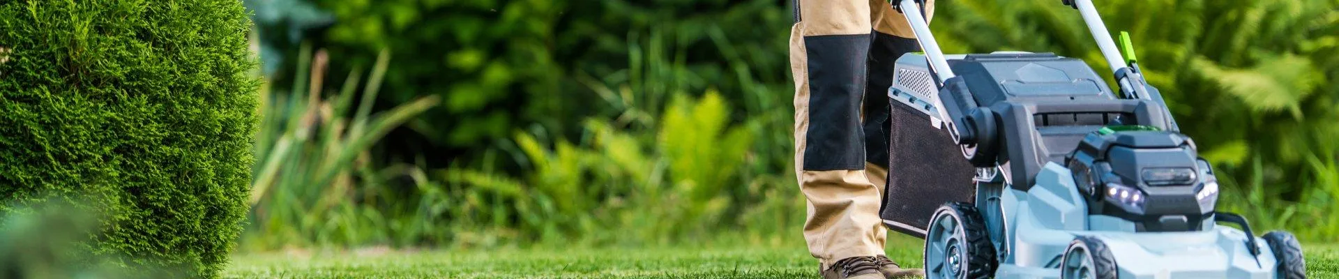 L'ERBA DEL VICINO PUÒ ESSERE SEMPRE PIÙ VERDE