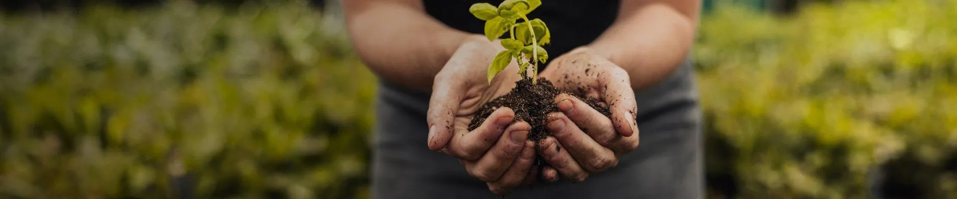 COLTIVA IL FUTURO, OGGI!