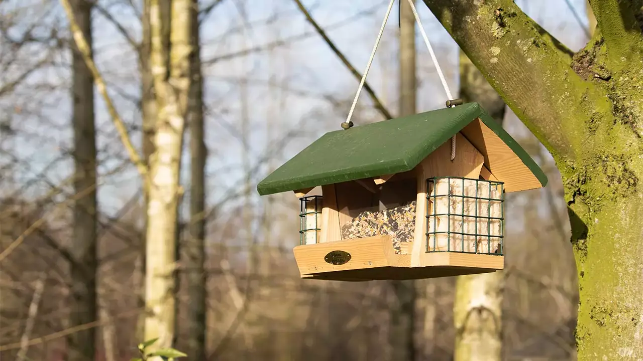 Come realizzare una mangiatoia per uccelli per il tuo balcone o giardino