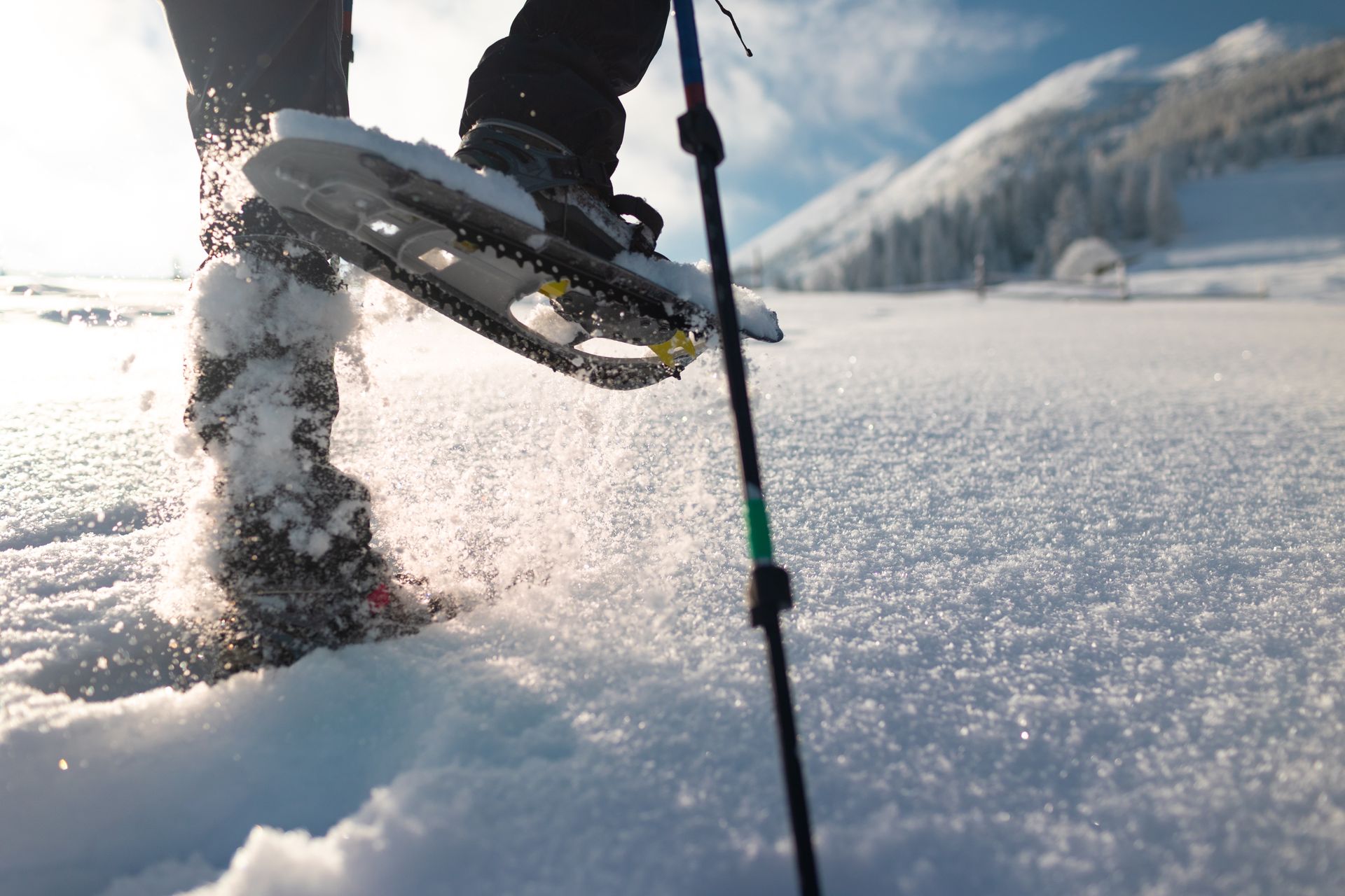 La gioia di passeggiare nella natura con le racchette da neve 